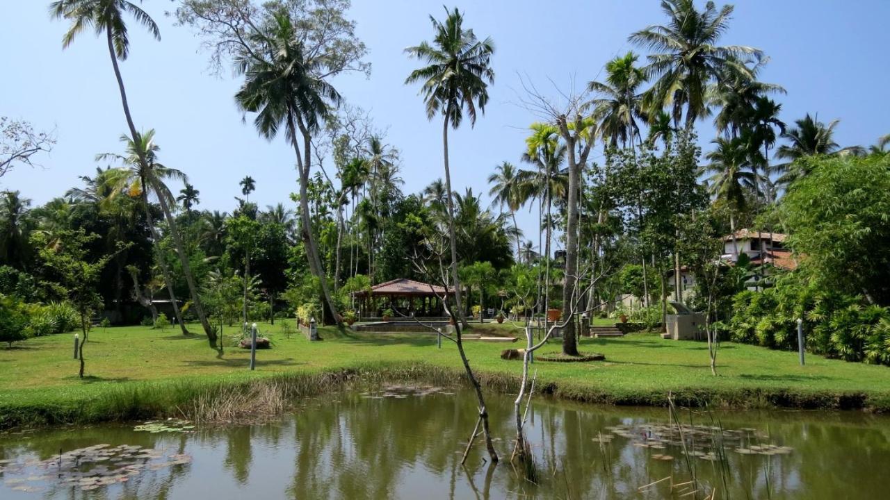Avalon Village Resort Induruwa Ngoại thất bức ảnh
