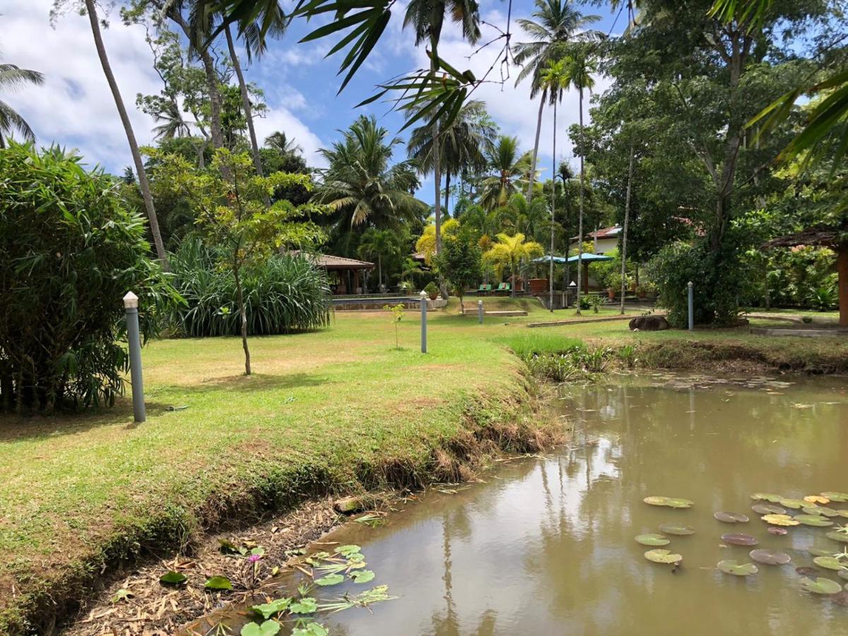 Avalon Village Resort Induruwa Ngoại thất bức ảnh