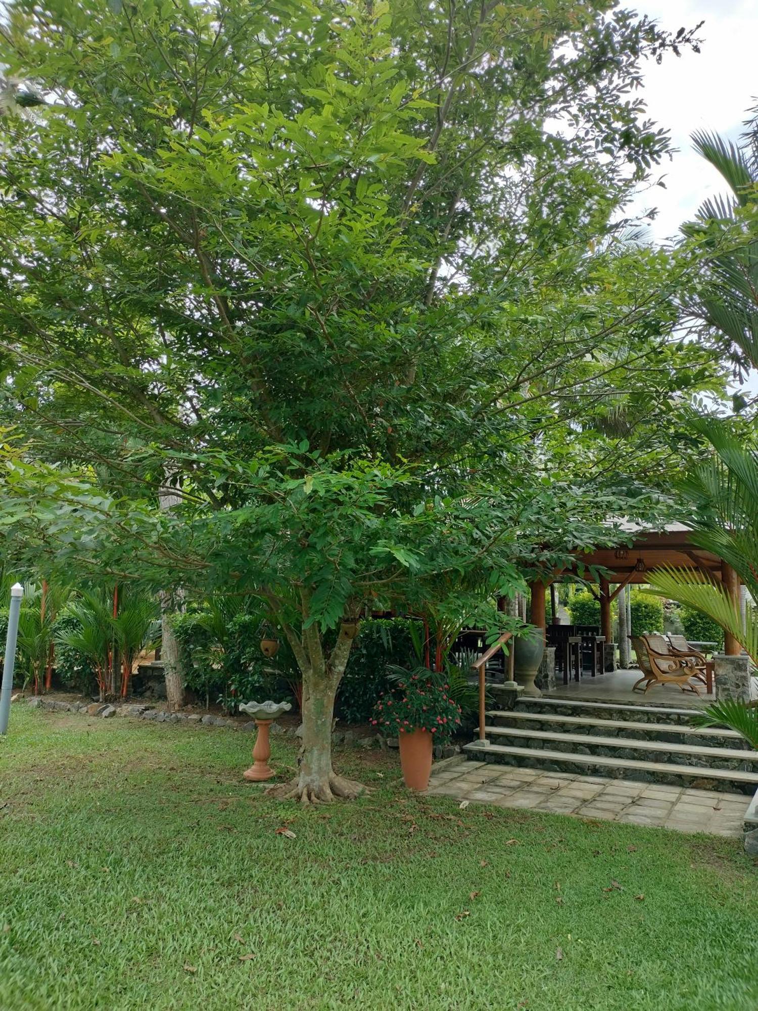 Avalon Village Resort Induruwa Ngoại thất bức ảnh