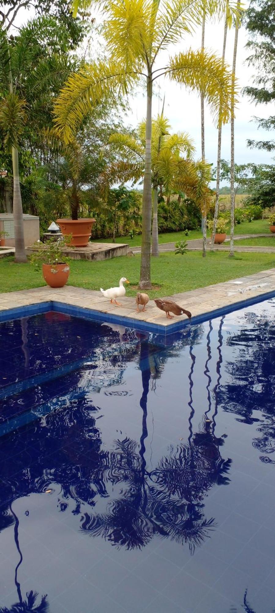 Avalon Village Resort Induruwa Ngoại thất bức ảnh