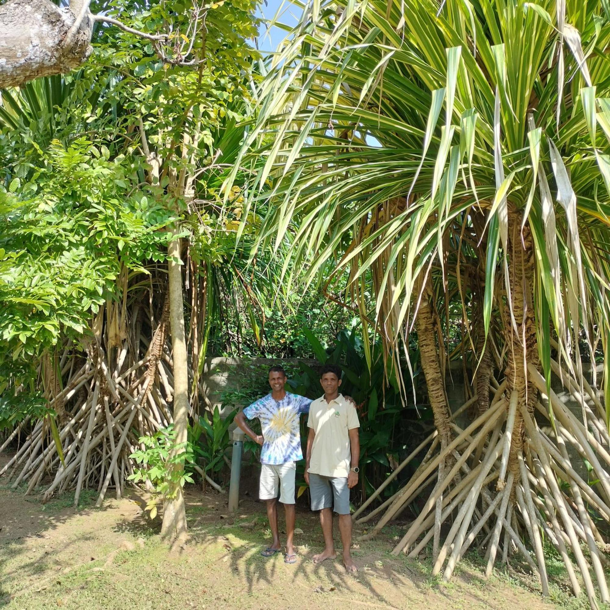 Avalon Village Resort Induruwa Ngoại thất bức ảnh