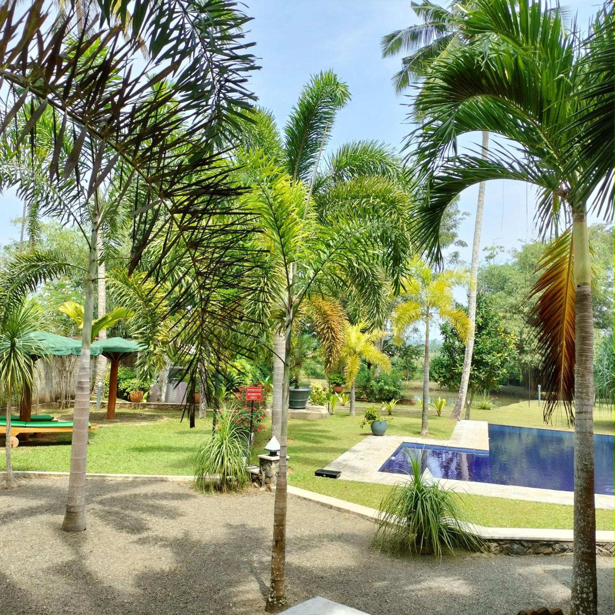 Avalon Village Resort Induruwa Ngoại thất bức ảnh