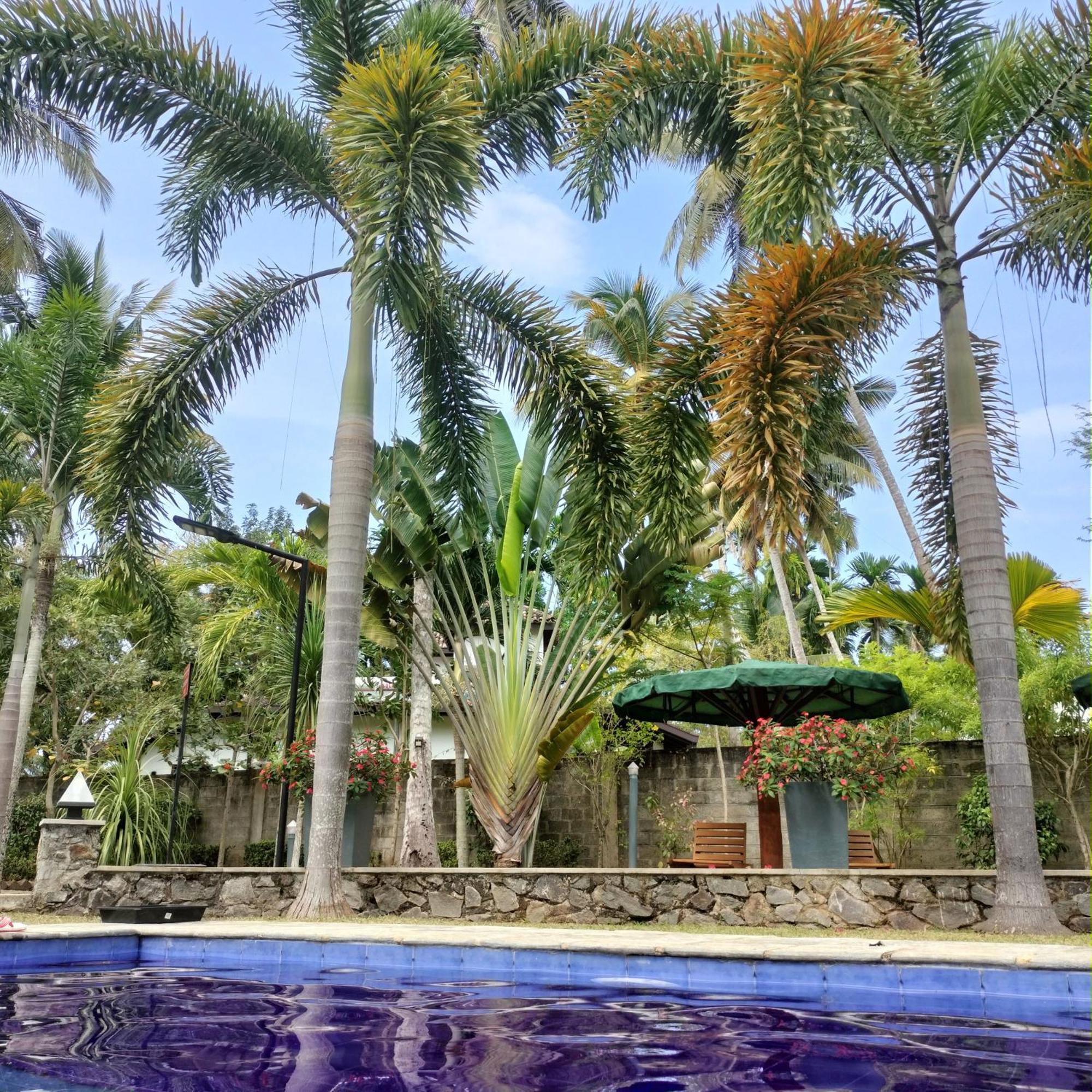 Avalon Village Resort Induruwa Ngoại thất bức ảnh