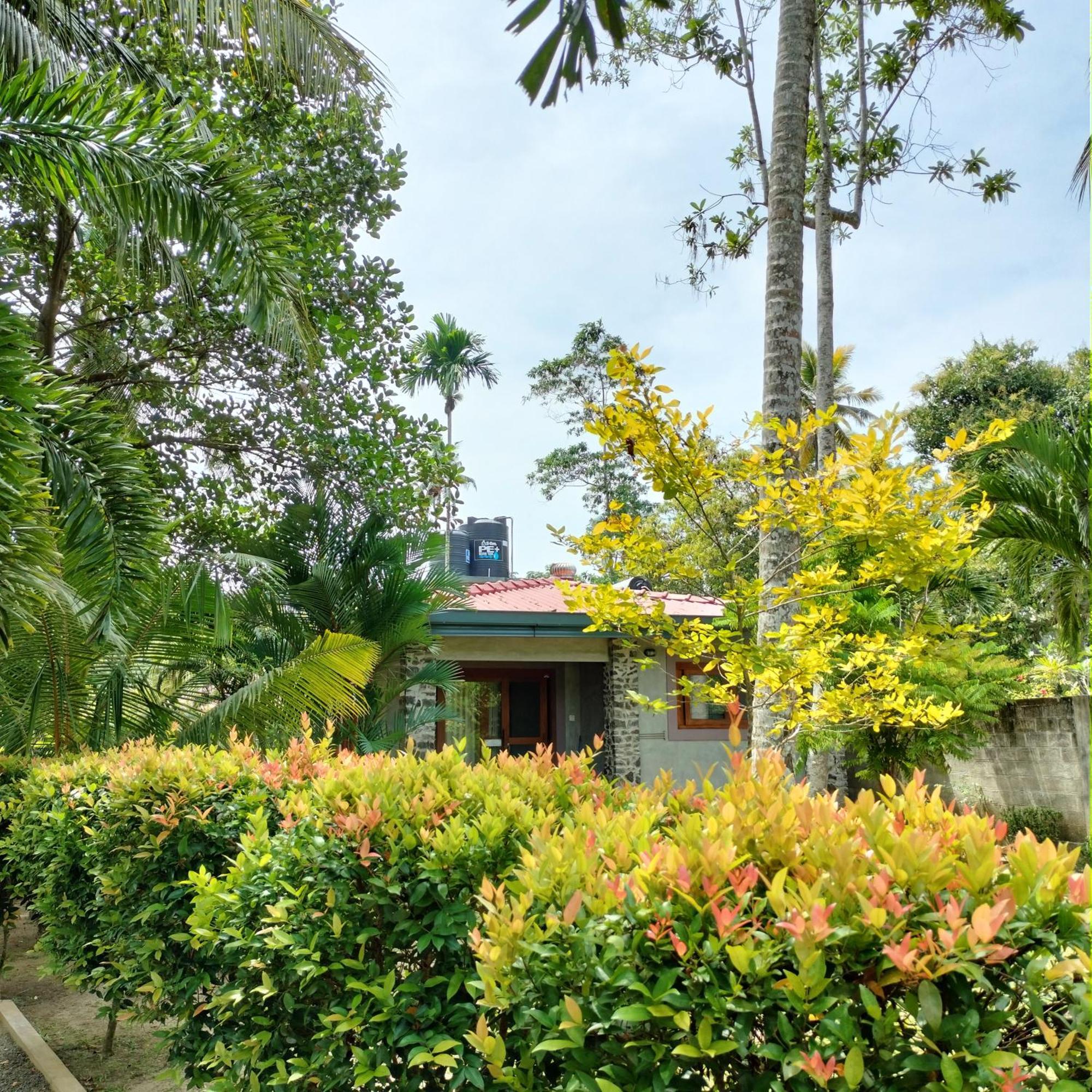 Avalon Village Resort Induruwa Ngoại thất bức ảnh