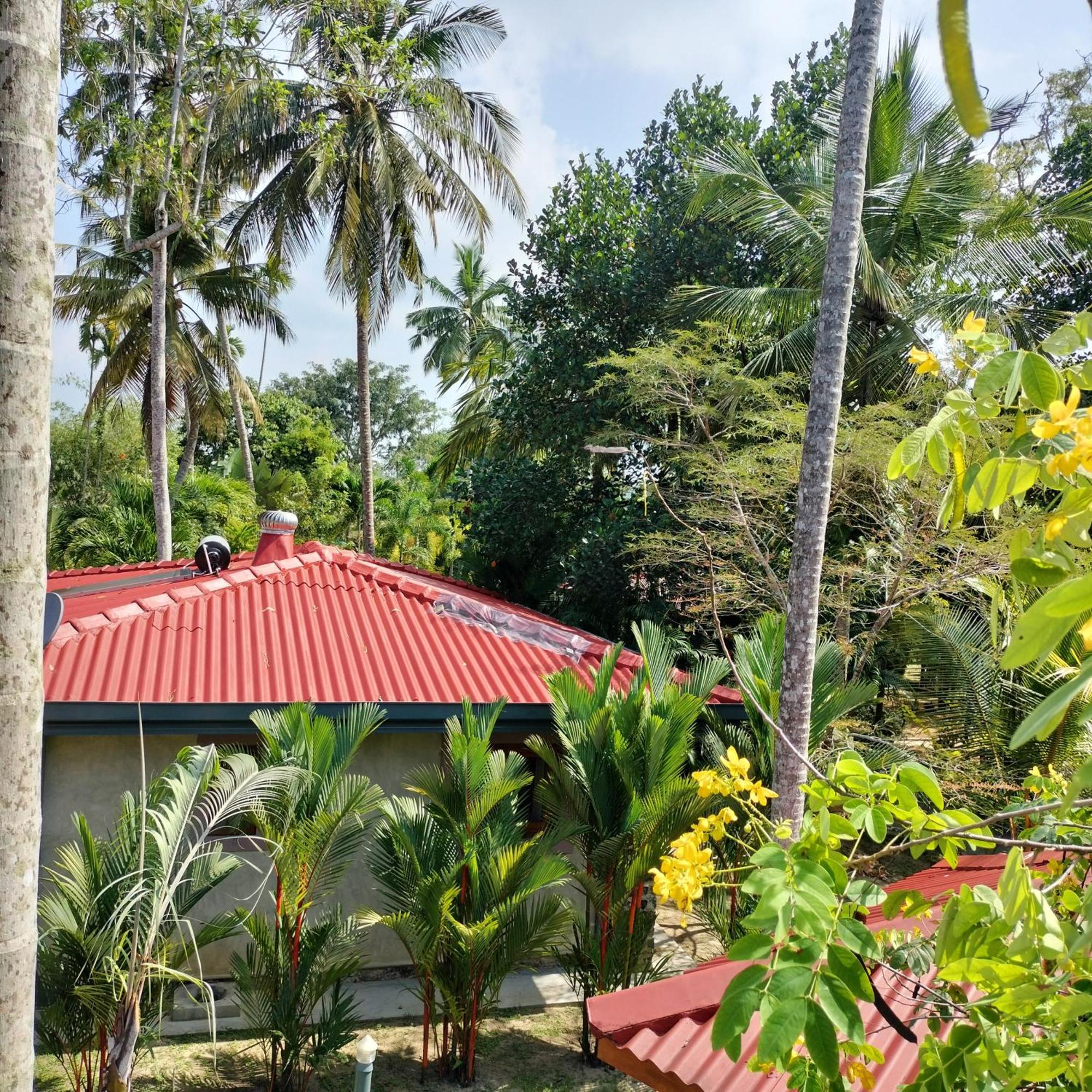 Avalon Village Resort Induruwa Ngoại thất bức ảnh