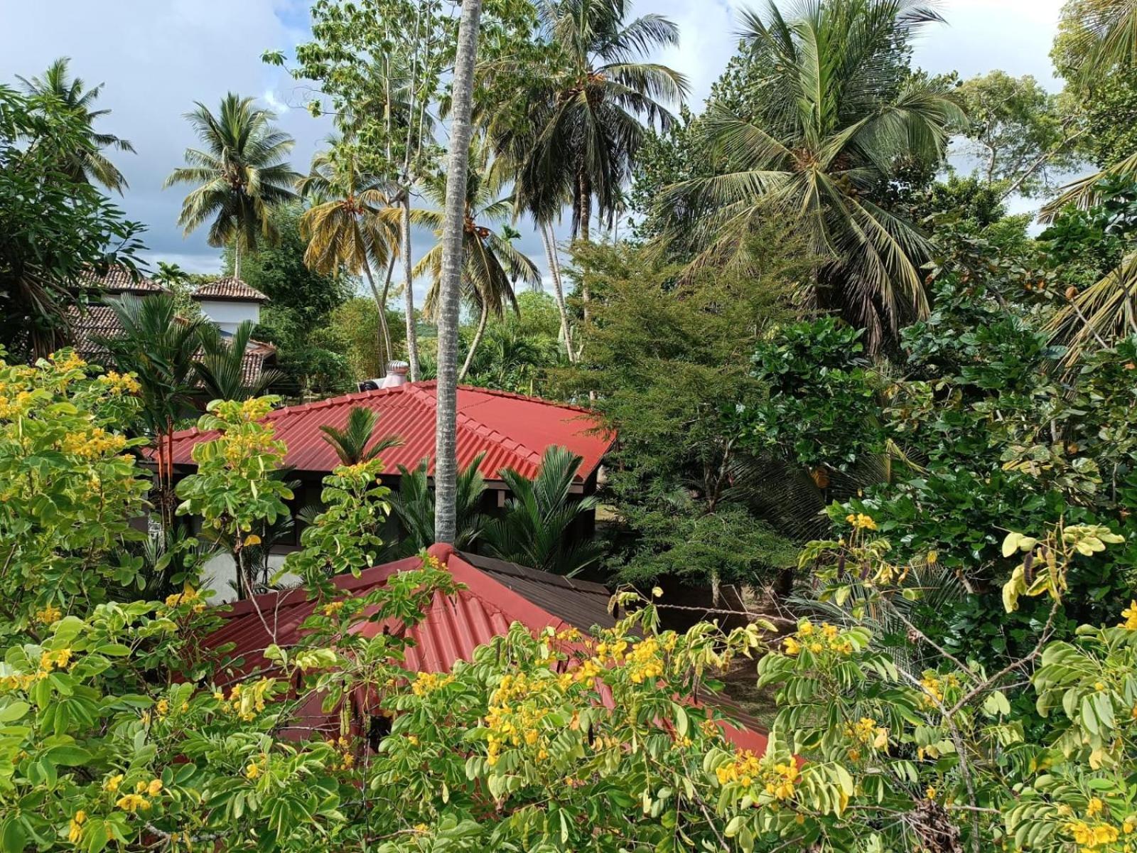 Avalon Village Resort Induruwa Ngoại thất bức ảnh