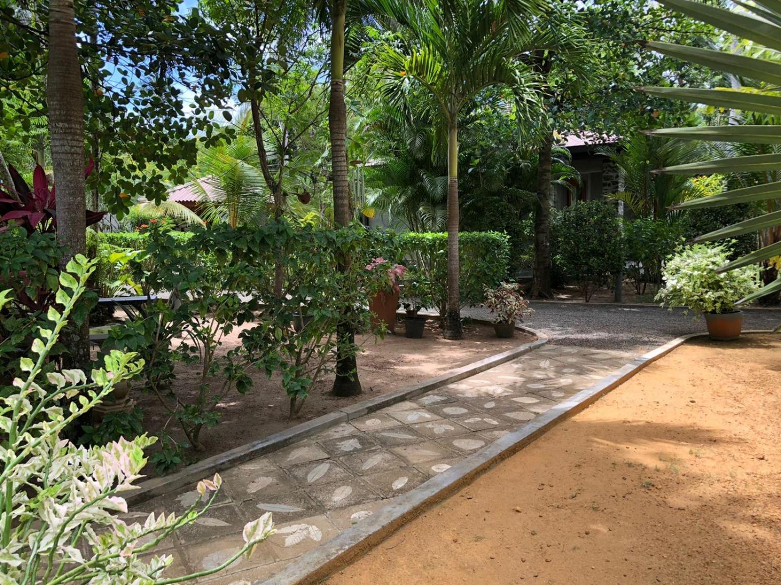 Avalon Village Resort Induruwa Phòng bức ảnh
